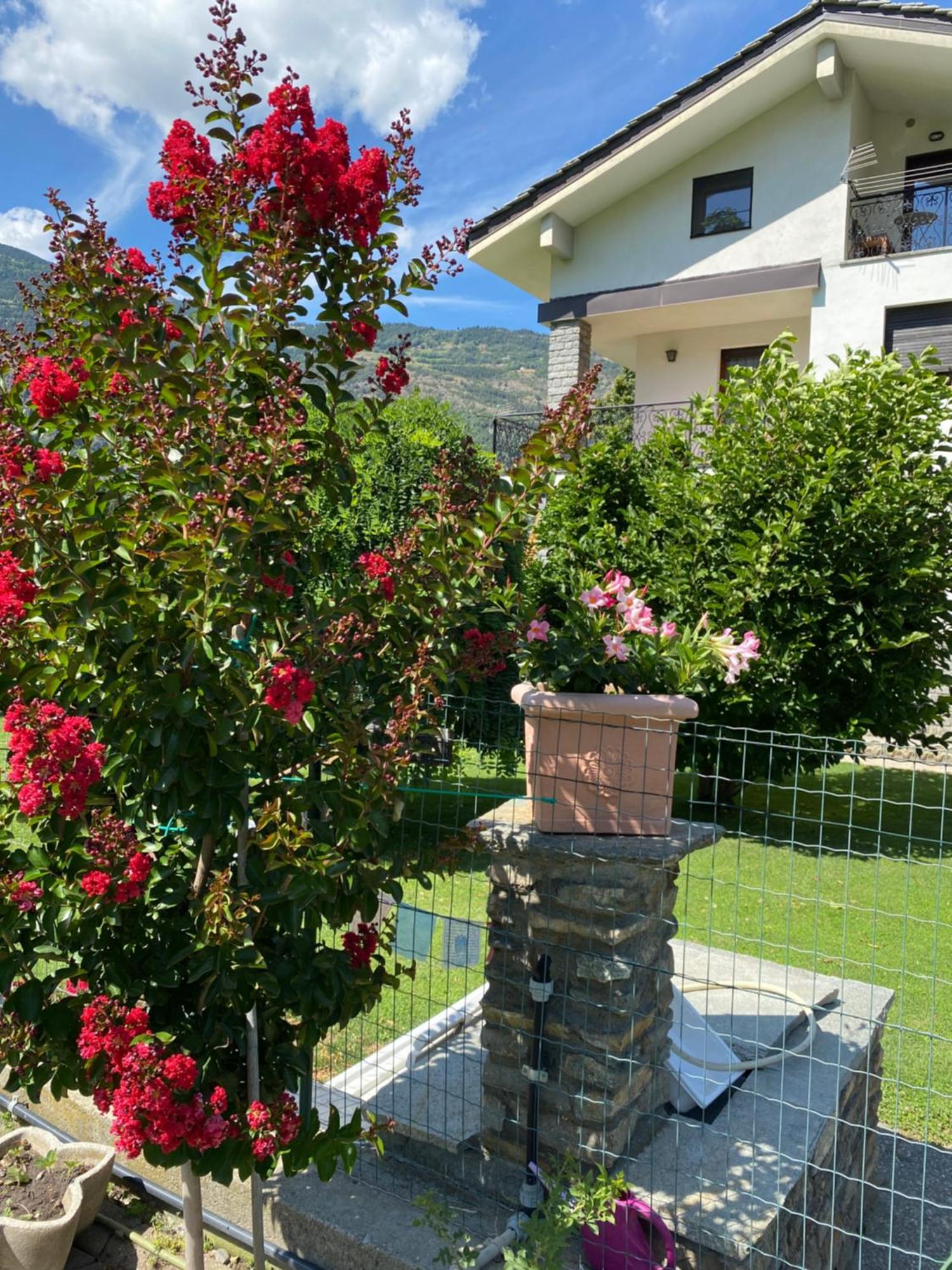 Il Tiglio Gressan Apartment Aosta Exterior photo